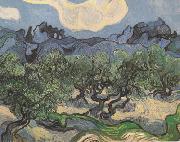 Olive Trees with the Alpilles in the Background (nn04) Vincent Van Gogh